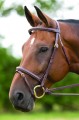 Bodenham Flash Bridle