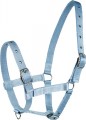 Foal Halter