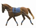 Kincade Training System