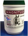 Magnitude - 908g