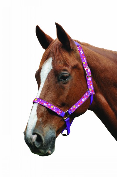 Roma Hearts Headcollar Farm Horse Wear, Tack, Clothing