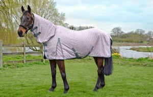 Hy Butterfly Print Fly Rug R E Farm Horse Wear Tack Clothing Animal Feeds Store In Derby