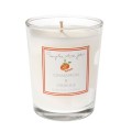 Cinnamon & Orange Scented Candle