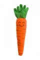 House of Paws Tough Carrot