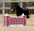 Toy Pony Puissance Jump Set