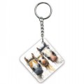 Elico Unsaddled Key Ring