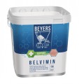 Beyers Belvimin